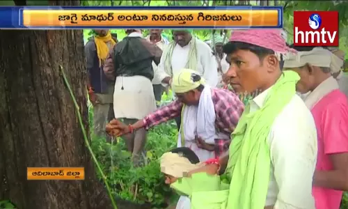 వ్యాధులను తరిమికొట్టే గిరిజనుల పండుగ జాగైమాథుర్ !