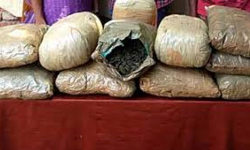 Ganja Smuggling gang Arrest: గంజాయి ముఠా అరెస్ట్ Ganja Smuggling gang Arrest: గంజాయి ముఠా అరెస్ట్