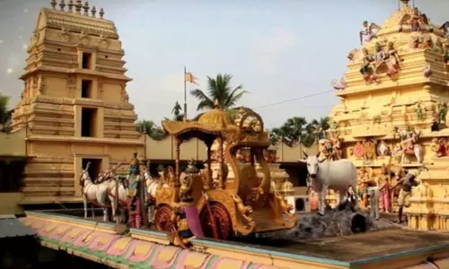 Appanapalli Bala Balaji Temple : అప్పనపల్లి వెంకటేశ్వరస్వామి ఆలయ చరిత్ర