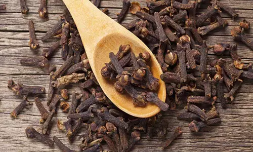 Health Benefits with Cloves: లవంగాలతో ఆరోగ్య ప్రయోజనాలు..