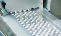 Mega Bulk Drug Park: రాష్ట్రంలో మెగా బల్క్ డ్రగ్ పార్క్ ఏర్పాటు Mega Bulk Drug Park: రాష్ట్రంలో మెగా బల్క్ డ్రగ్ పార్క్ ఏర్పాటు