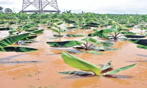 వరద గోదారితో లంక గ్రామాలకు తప్పనిసరి తిప్పలు !