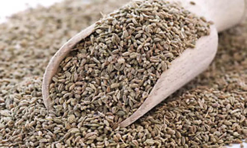 Health Benefits of Carom Seeds: వాము తో ఉపయోగాలెన్నో తెలుసా?