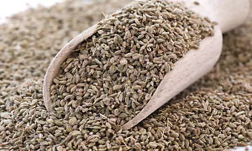 Health Benefits of Carom Seeds: వాము తో ఉపయోగాలెన్నో తెలుసా?