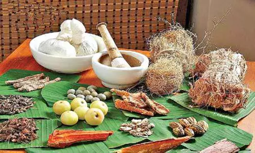 ఆదిలాబాద్‌ జిల్లాలో గిరిజన ప్రాంతాల్లో వనమూలికలతో వైద్యం