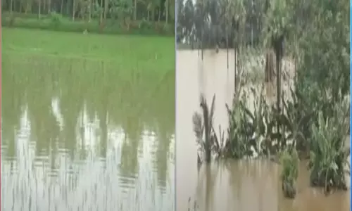 గోదావరి వరదల్లో చేతికొచ్చిన పంట కోల్పోయిన రైతులు !
