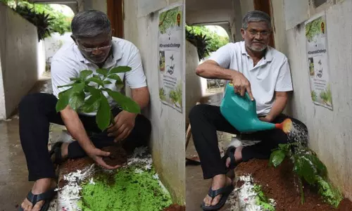 Tanikella Bharani Accept Green India Challenge: గ్రీన్ ఇండియా ఛాలెంజ్ లో తనికెళ్ళ భరణి! Tanikella Bharani Accept Green India Challenge: గ్రీన్ ఇండియా ఛాలెంజ్ లో తనికెళ్ళ భరణి!