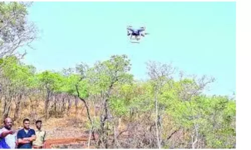 Survey on Gods Grants