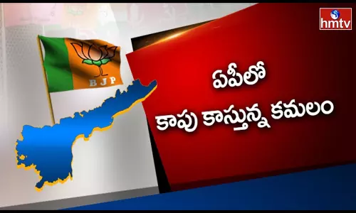 ఏపీలో కమలం కాపు కాస్తుందా?