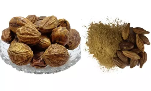 Health Benefits Myrobalan: కరక్కాయతో కలిగే ఆరోగ్య ప్రయోజనాలు...