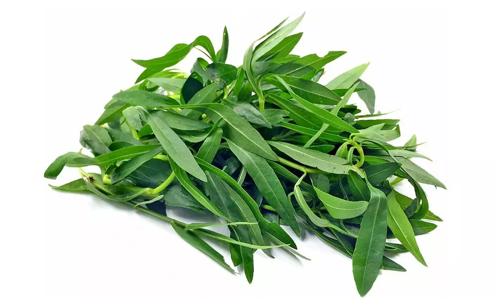 Health Benefits with Ponnaganti leaves: పొన్నగంటి కూరతో ఆరోగ్య ప్రయోజనాలు...