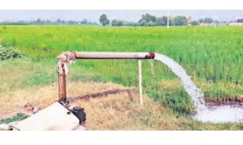 CM Jagan : విద్యుత్ నగదు బదిలీ సొమ్ము రైతుల ఖాతాల్లోకి ముందుగానే జమ.. సీఎం జగన్ నిర్ణయం!