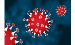 Corona updates: ములుగు జిల్లాలో దడ పుట్టిస్తున్న కరోనా... Corona updates: ములుగు జిల్లాలో దడ పుట్టిస్తున్న కరోనా...