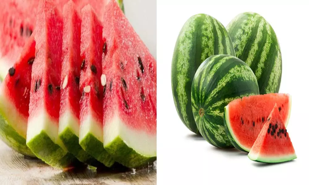 Health Benefits of Watermelon: పుచ్చకాయ ప్రయోజనాలు, పోషక విలువలు..