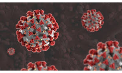 Coronavirus updates: అసెంబ్లీలో కరోనా కలకలం.. Coronavirus updates: అసెంబ్లీలో కరోనా కలకలం..