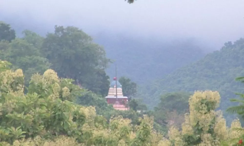 Punyagiri Temple : నాడు పాండవుల ఆవాసం.. ఉమాకోటిలింగేశ్వరస్వామి ఆలయం