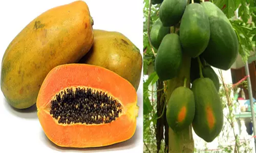 Health Benefits with Papaya: బొప్పాయతో కలిగే ఆరోగ్య ప్రయోజనాలు...