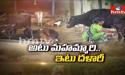 HMTV special: అటు మ‌హ‌మ్మారి .. ఇటు ద‌ళారీ.  .