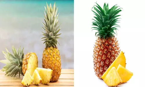 Health Benefits with Pineapple: అనాసతో ఆరోగ్య ప్రయోజనాలు... Health Benefits with Pineapple: అనాసతో ఆరోగ్య ప్రయోజనాలు...