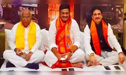 ఢిల్లీలో ఎంపీ రఘురామ కృష్ణంరాజు దీక్ష