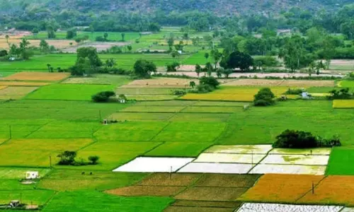 Waqf Board Lands : వక్ఫ్‌, ఆలయ భూముల రిజిస్ట్రేషన్లు బంద్‌..నేటినుంచే నిర్ణయం అమల్లోకి