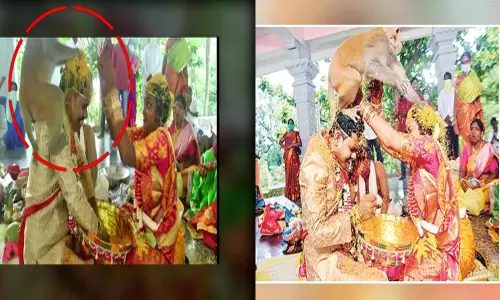 వారి పెళ్లికి వానరమే విశిష్ట అతిథి !
