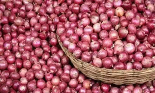 Union Govt about Onion Exports: ఉల్లి ఎగుమతులపై నిషేధం.. ఉత్తర్వులు జరీ చేసిన కేంద్రం..