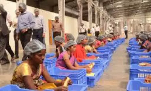 Mega Food Parks: 37 మెగా ఫుడ్ పార్కులకు కేంద్రం ఆమోదం
