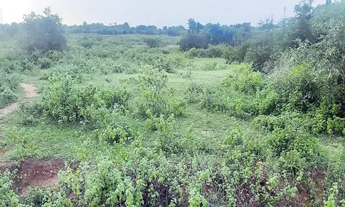 వెలుగులోకి మరో భారీ భూ కుంభకోణం.. ఆర్డీఓ సస్పెండ్.. వెలుగులోకి మరో భారీ భూ కుంభకోణం.. ఆర్డీఓ సస్పెండ్..