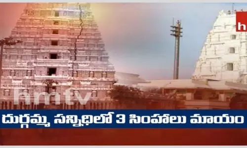 Hmtv Special Program: మాయమైన సింహాలు...