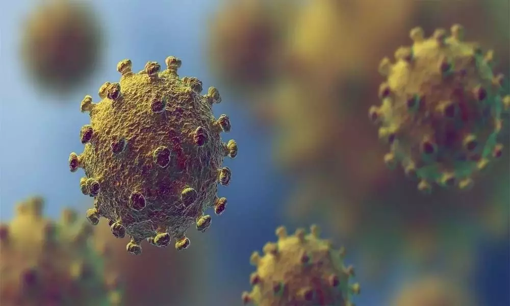 Coronavirus Updates in AP: ఏపీలో కొత్తగా 8,702 పాజిటివ్ కేసులు...