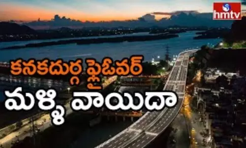 Vijayawada Kanaka Durga Flyover : కనకదుర్గ ఫ్లైఓవర్ ప్రారంభోత్సవానికి బ్రేక్