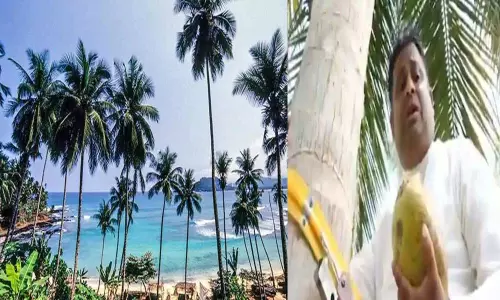 కొబ్బరి చెట్టెక్కి మరీ ప్రభుత్వాన్ని డిమాండ్ చేసిన మంత్రి