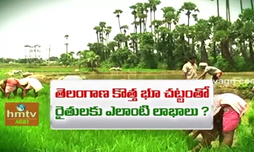 తెలంగాణ కొత్త భూ చట్టంతో రైతులకు ఎలాంటి లాభాలు ?