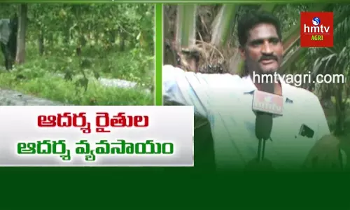 సమగ్ర సాగుతో యువరైతు ఆదర్శం