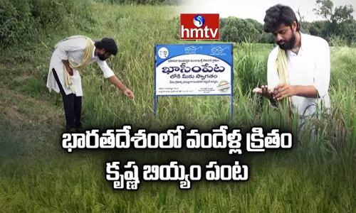 కృష్ణ బియ్యంతో గుండె సంబంధిత వ్యాధులు, కేన్సర్, ఊబకాయం నయం