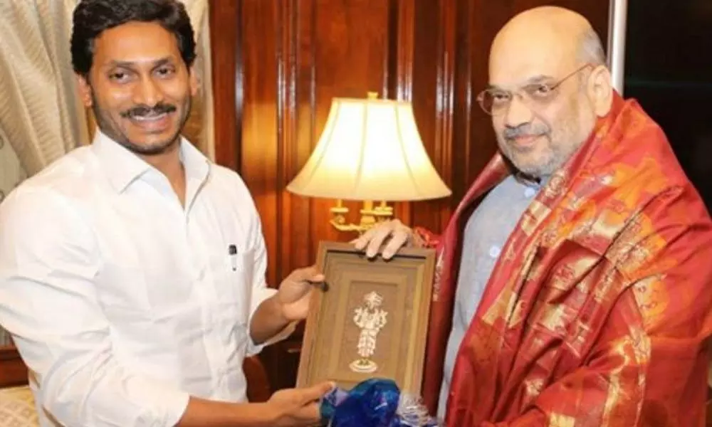 AP CM YS Jagan Meets Amit Shah: అమిత్ షాతో భేటీ అయిన ఏపీ సీఎం వైఎస్ జగన్