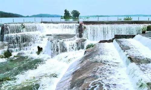 సింగసముద్రం చెరువు పాలపొంగులా ఉప్పొంగుతుంది