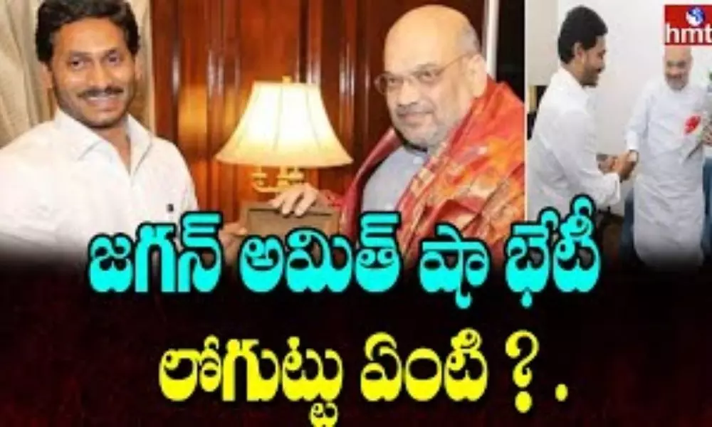 Amit Shah And Jagan Meeting: అమిత్ షా, జగన్ భేటీ పై రాజకీయ ప్రాధాన్యత