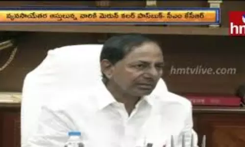 Maroon Pattadar Passbooks: వ్యవసాయేతర ఆస్తులకు మెరూన్‌ పట్టాలు