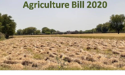 Agriculture Bill: వ్యవసాయ బిల్లులకు వ్యతిరేకంగా సిపిఎం రిలే నిరాహారదీక్ష. Agriculture Bill: వ్యవసాయ బిల్లులకు వ్యతిరేకంగా సిపిఎం రిలే నిరాహారదీక్ష.