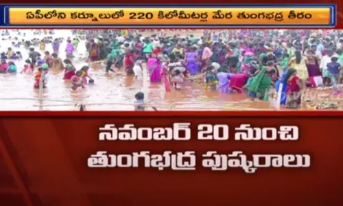 తుంగభద్ర పుష్కరాలకు ప్రభుత్వ ఏర్పాట్లు వీడియో