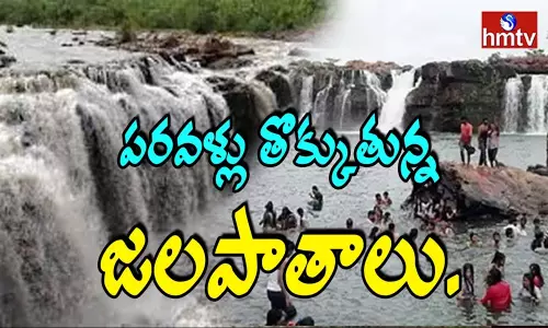 నెల్లూరు జిల్లాలో పరవళ్లు తొక్కుతున్న జలపాతాలు