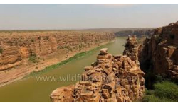 Kadapa updates: ఎగువన కురిసిన వర్షాలతో గండికోటకు కొనసాగుతున్న వరద ప్రవాహం... Kadapa updates: ఎగువన కురిసిన వర్షాలతో గండికోటకు కొనసాగుతున్న వరద ప్రవాహం...