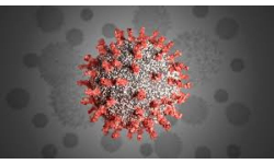 coronavirus updates: కరోనా లక్షణాలు ఉన్నాయనే భయంతో ఆత్మహత్యకు పాల్పడ్డ రిటైర్డ్ జడ్జి రామచంద్ర రెడ్డి.... coronavirus updates: కరోనా లక్షణాలు ఉన్నాయనే భయంతో ఆత్మహత్యకు పాల్పడ్డ రిటైర్డ్ జడ్జి రామచంద్ర రెడ్డి....