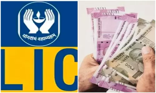LIC భద్రత పై పలు సందేహాలు