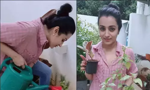 గ్రీన్ ఇండియా ఛాలెంజ్ లో త్రిష!