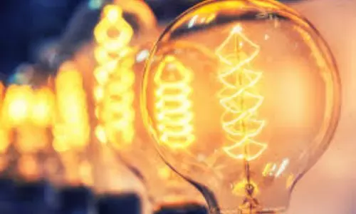 Electricity Production : వ్యర్థాల నుంచి విద్యుత్‌ ఉత్పత్తి