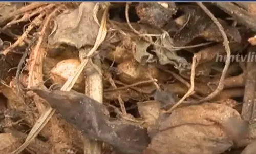 నీరు.. కన్నీరు