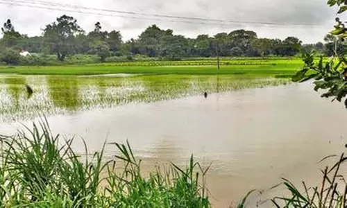 వరదలు, కరువులతో కుదేలవుతున్న రైతన్నలు